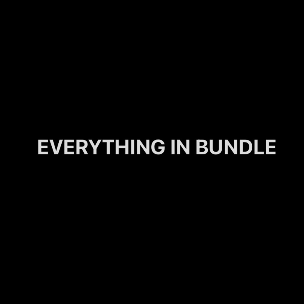 The Everything In Bundle
